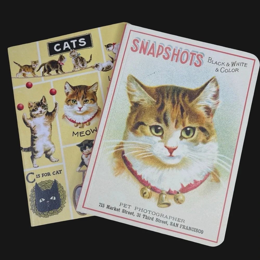 Cavallini Papers Cats Mini Notebooks Set of 2 Retro Vintage Style Art Journal